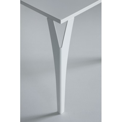 Mesa Charme